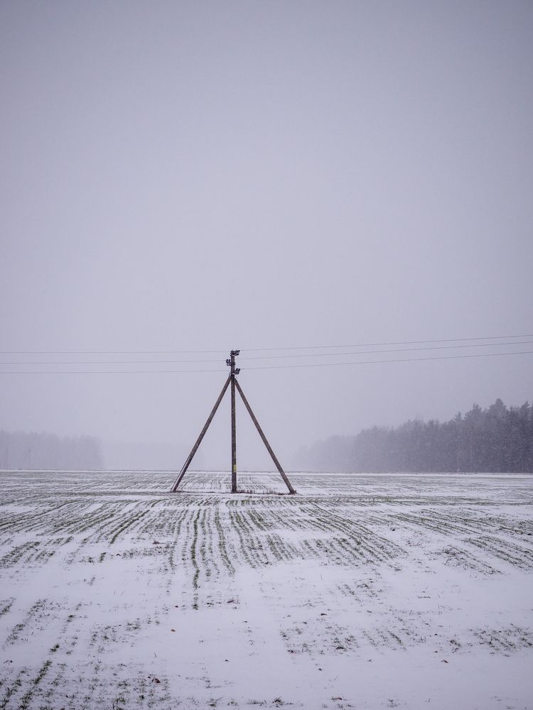 Photograph by Ольга Еженевская