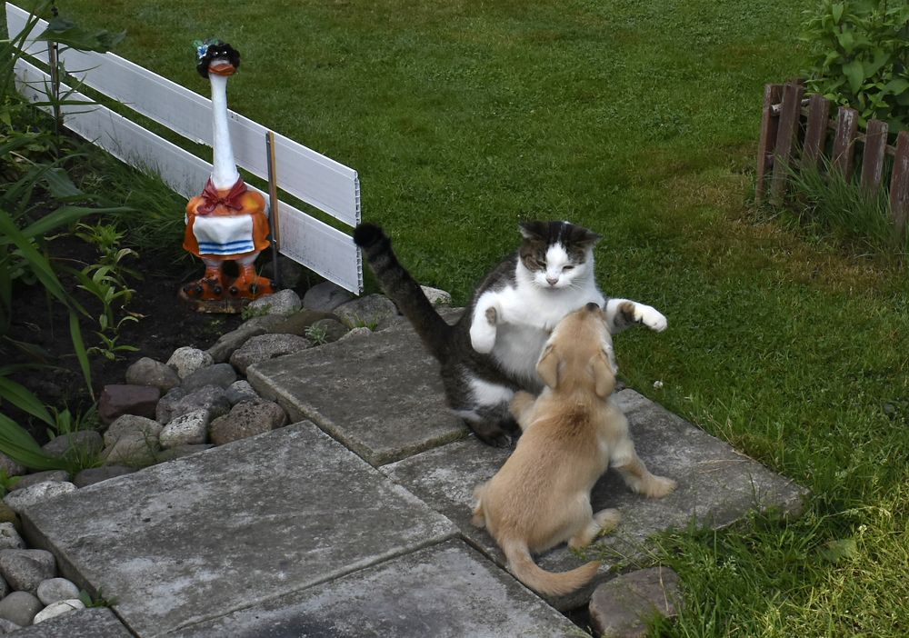 Рад тебя видеть