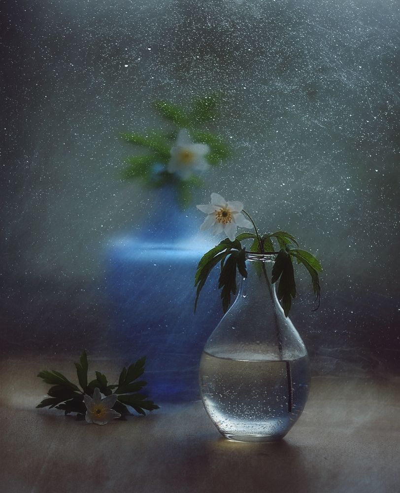 Photograph by Наталия К