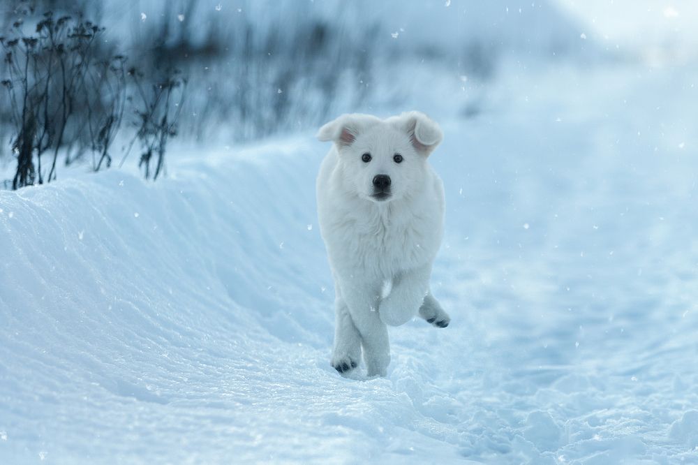 Photograph by Антон