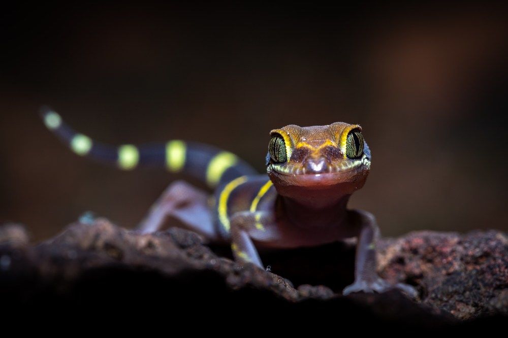 Photograph by Dhananjay Jadhav