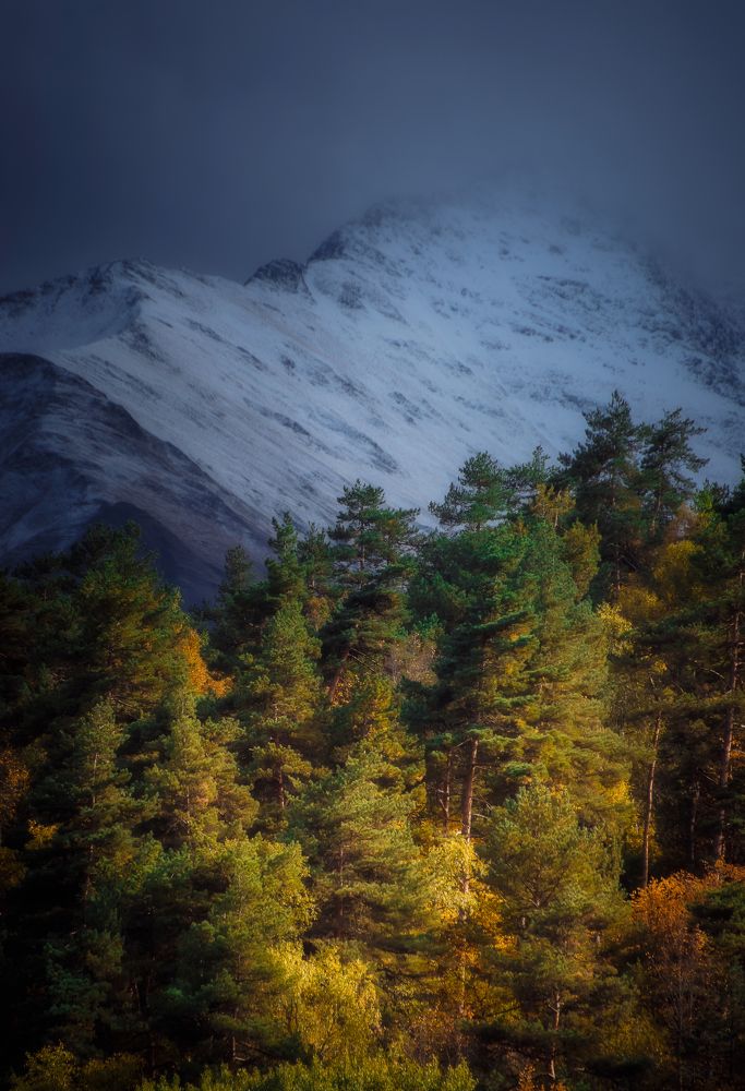 Осенний пейзаж