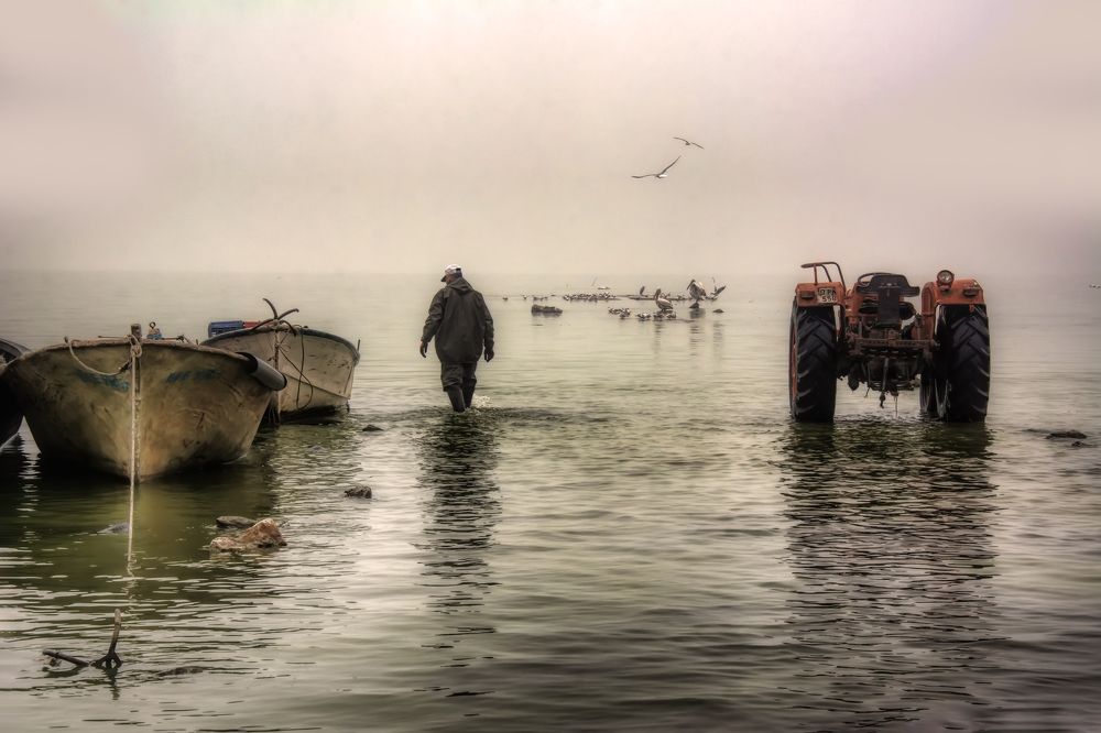 Фотография автора Demet Özer Yakut