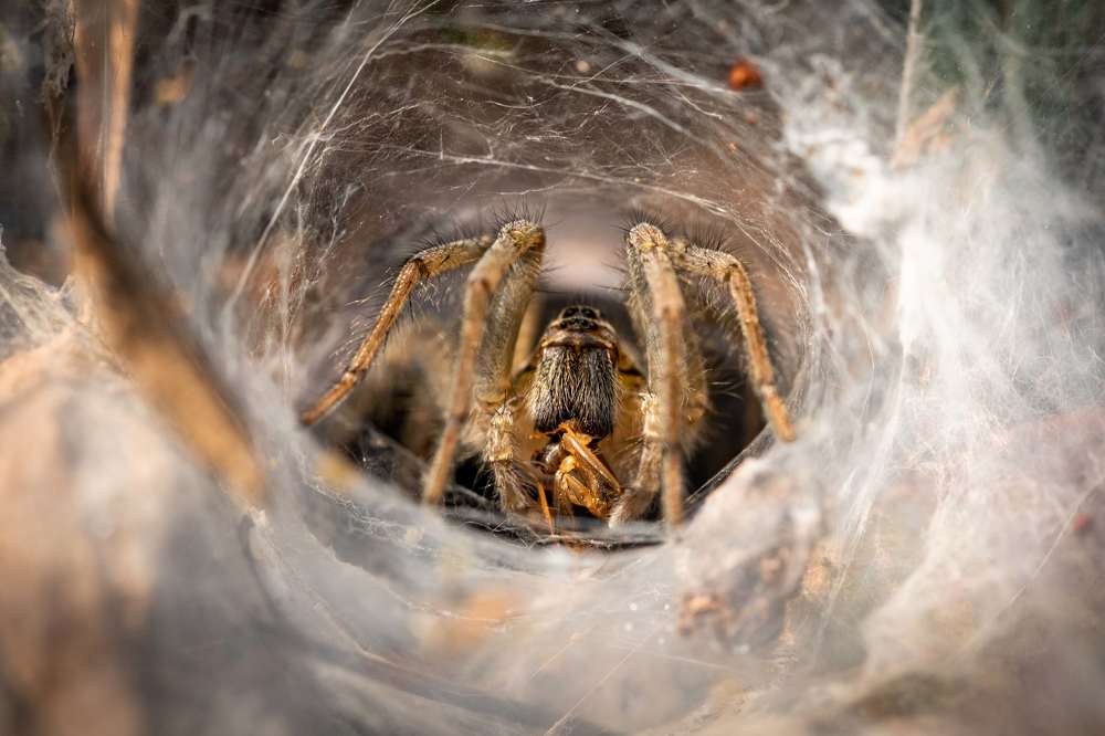 Photograph by Dhananjay Jadhav