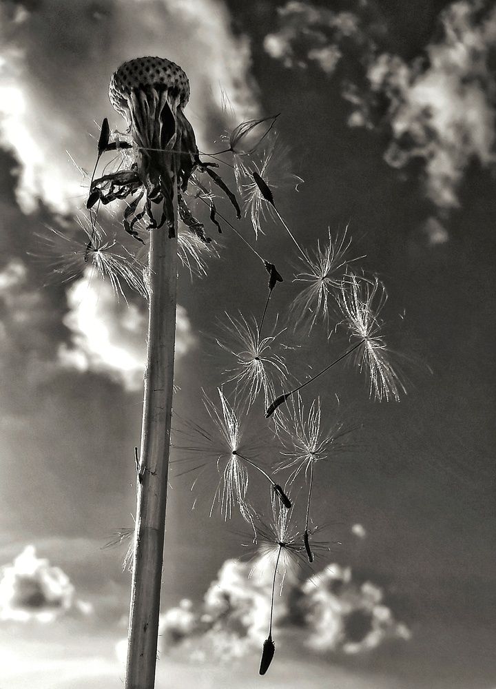Photograph by Евгения Лушенкова