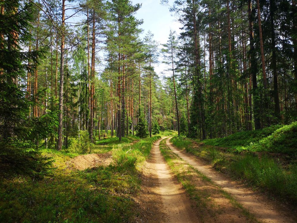 Photograph by Екатерина