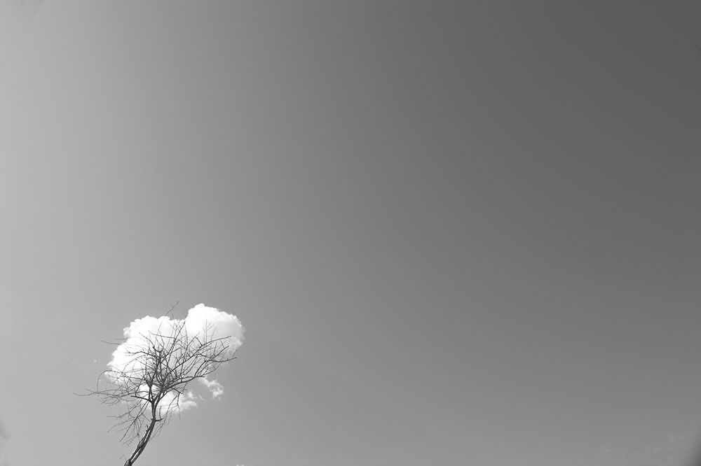 Photograph by Hassan Albusaidi