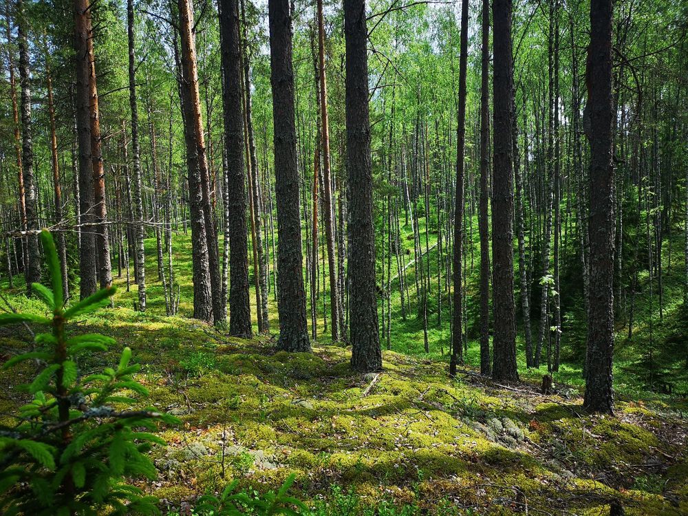 Photograph by Екатерина