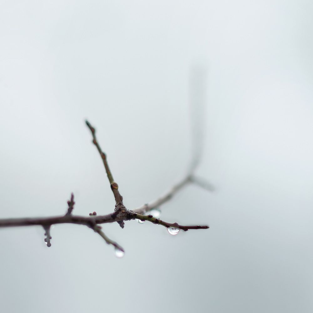 Photograph by Sandra Tines