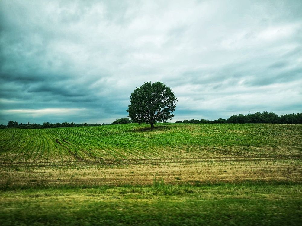 Photograph by Екатерина