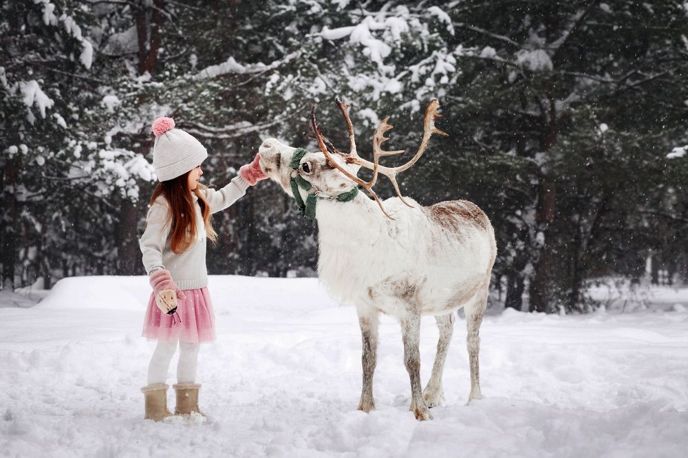 Photograph by Анастасия Грушина