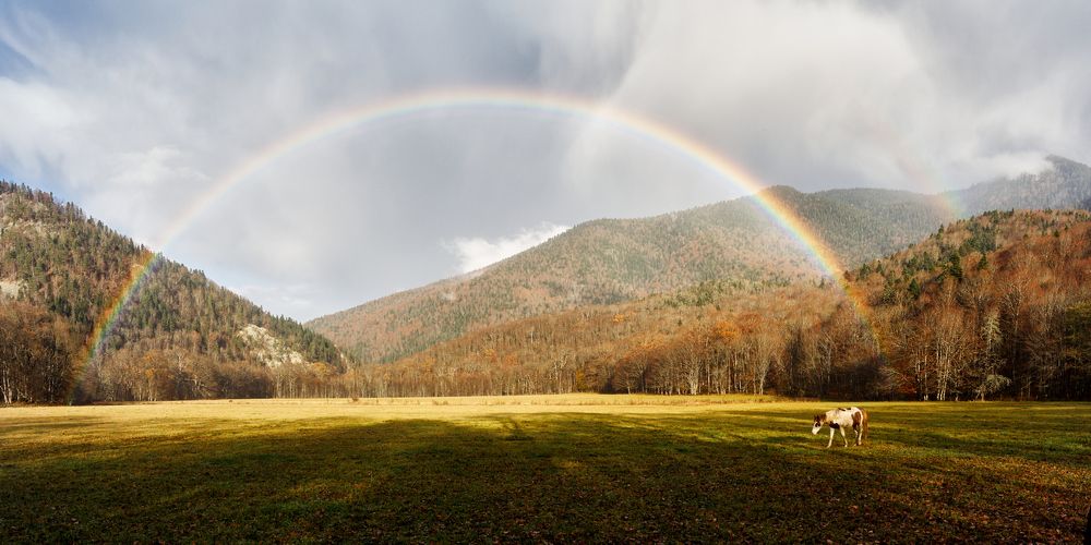 Photograph by Артём Харченко