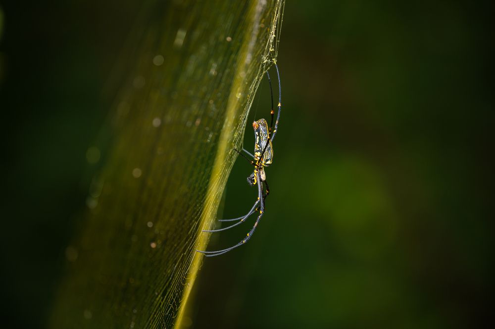 Photograph by Dhananjay Jadhav