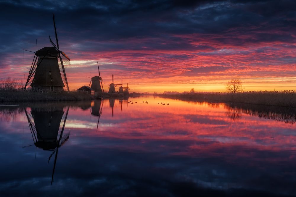 Photograph by Miguel Pascual mejias