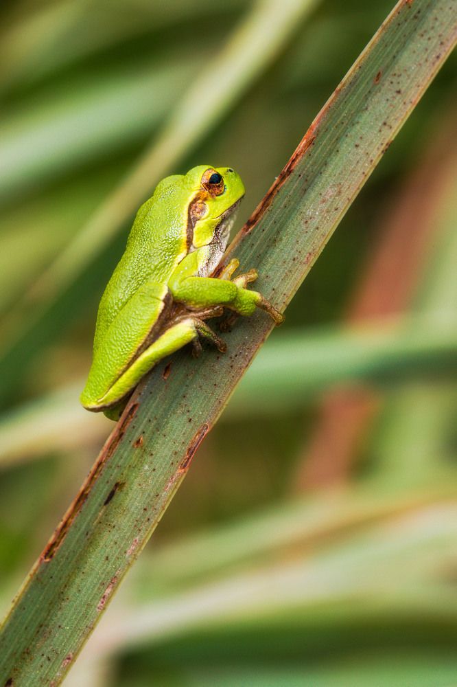 Photograph by Marco Dajethy