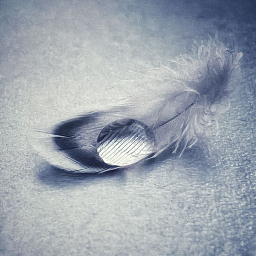 Photograph by Ольга Скиба