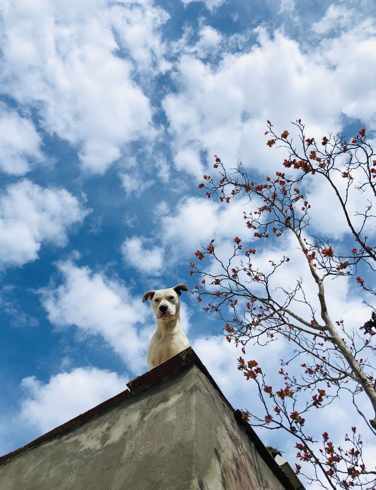 Photograph by Sergiy Khilko