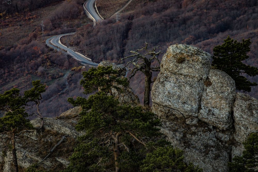 Photograph by Александр Воронов