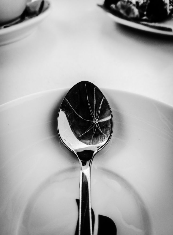 Photograph by Irina Stepnova