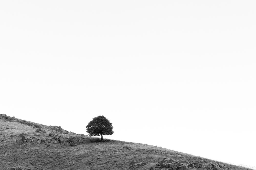 Photograph by Абдумавлон Мадмусаев