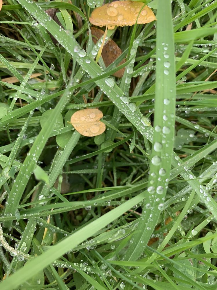 Photograph by Наталья Орешкина