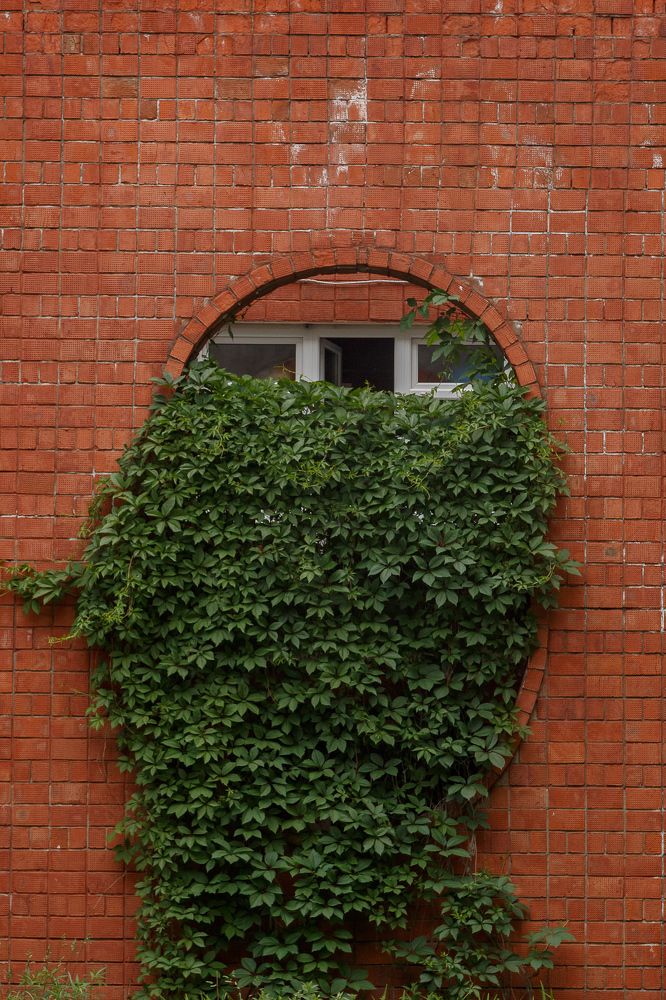 Фотография автора Константин Ракчеев