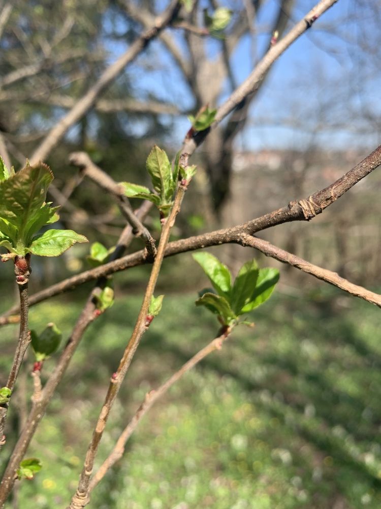 Photograph by Наталья Орешкина