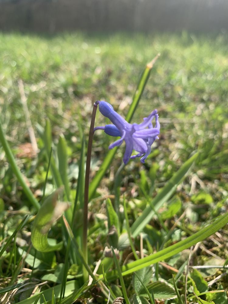 Photograph by Наталья Орешкина