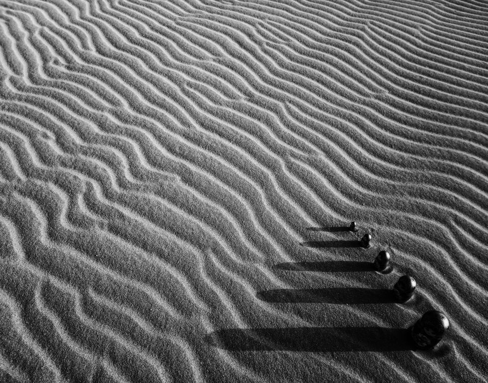 Photograph by Irina Stepnova