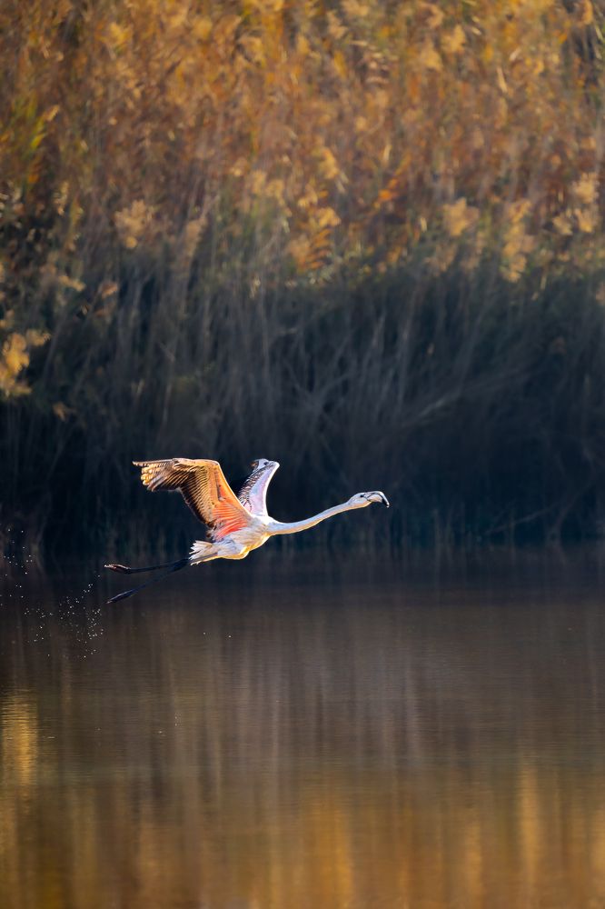 Photograph by Jayakumar MN