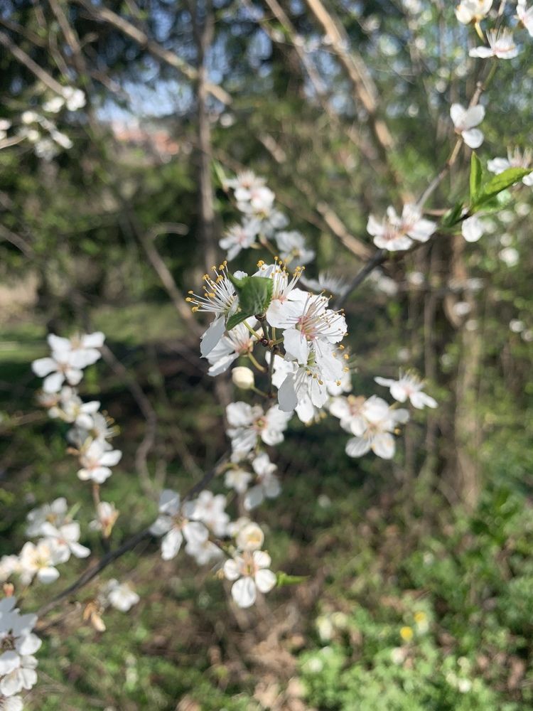 Photograph by Наталья Орешкина