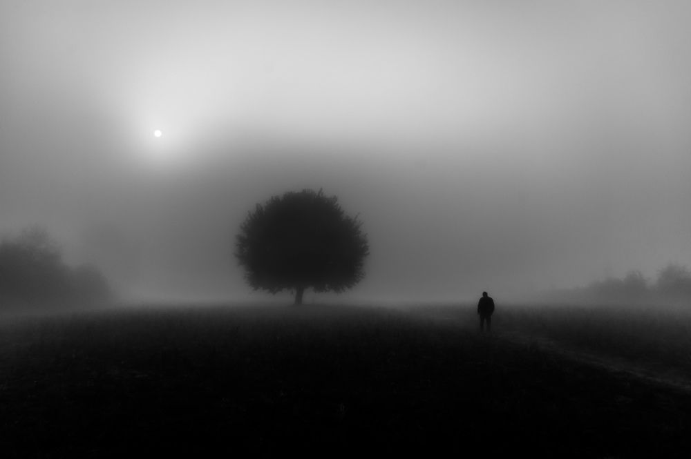 what are we looking for