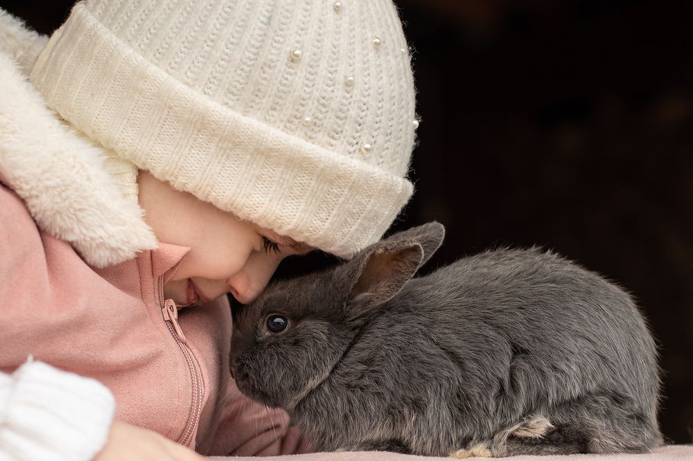 Фотография автора Светлана Дроголюбова
