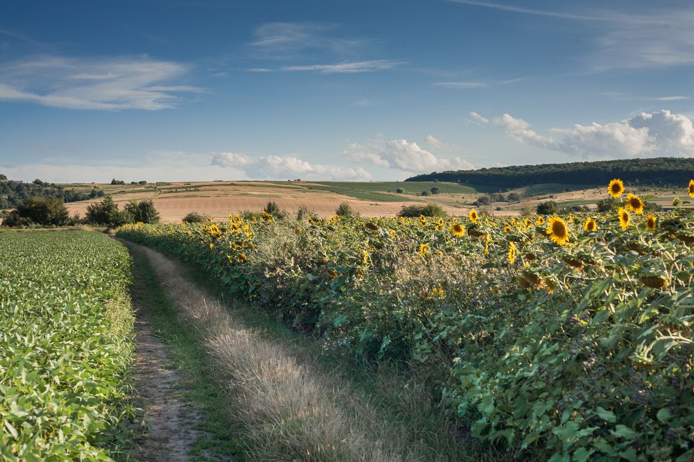 Фотография автора Владислав Марухин