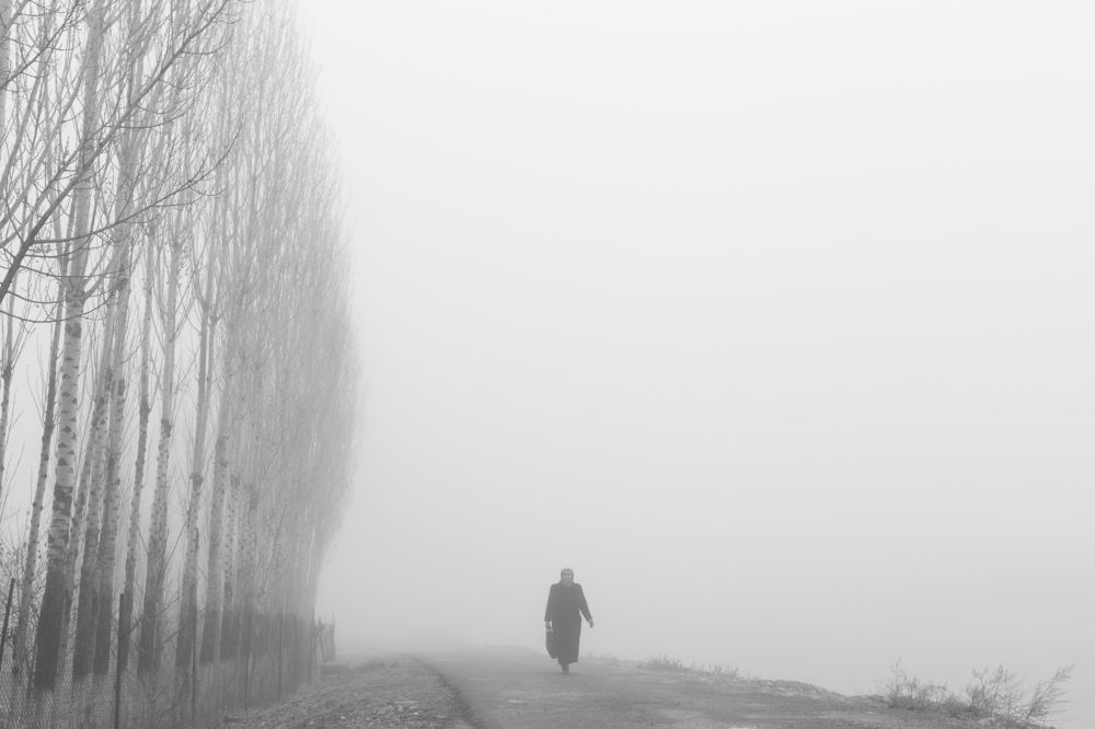 Photograph by Абдумавлон Мадмусаев