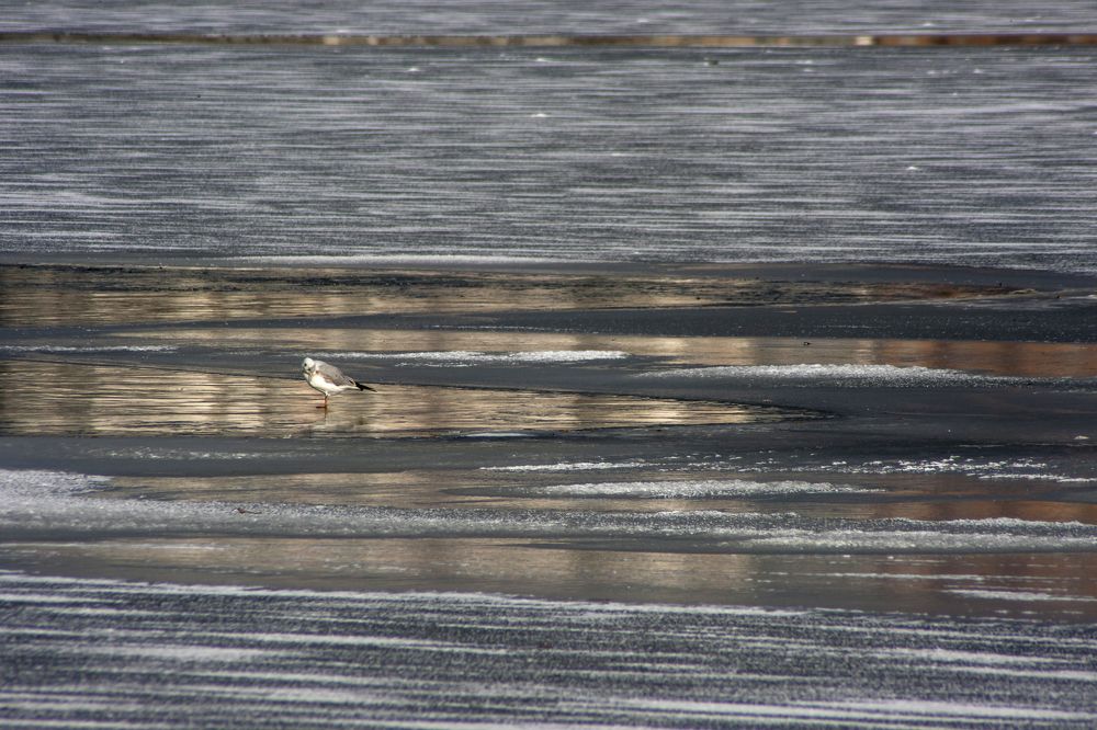 Photograph by Богдан Бигун