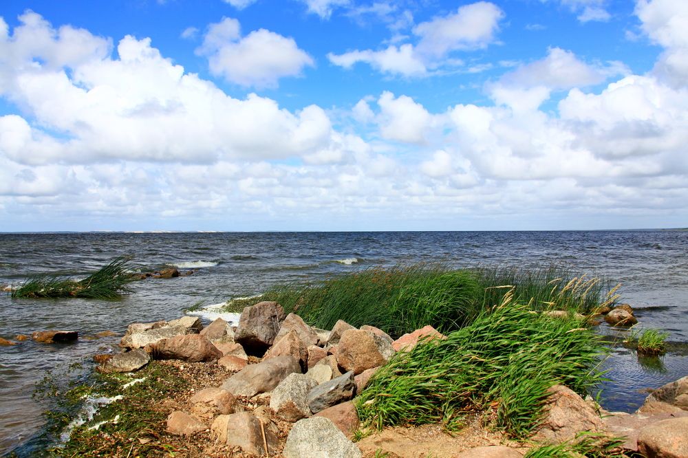 Фотография автора Сергей Барановский