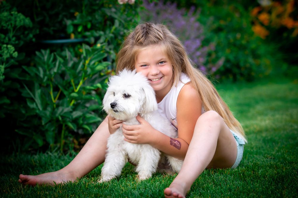 Друзья навек