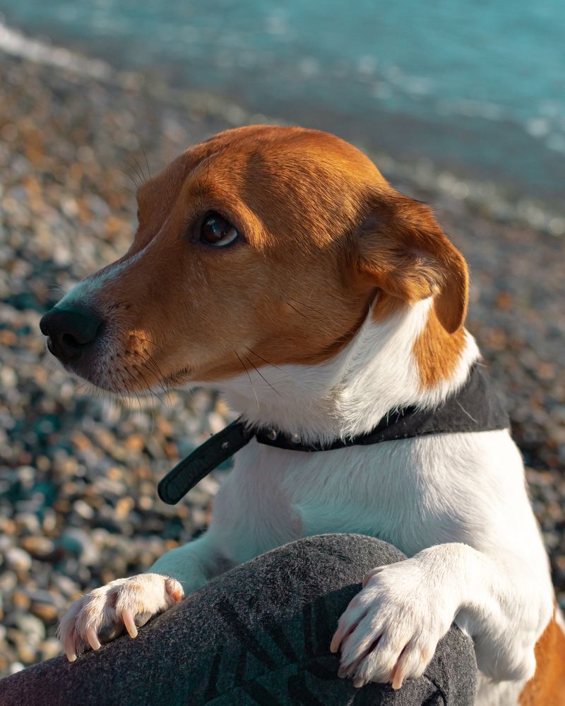 Photograph by Марина Брик