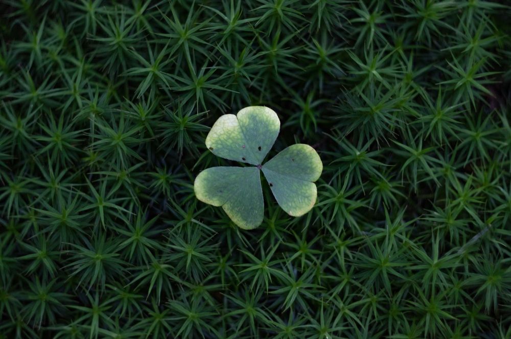 Photograph by Ксения Лаевская