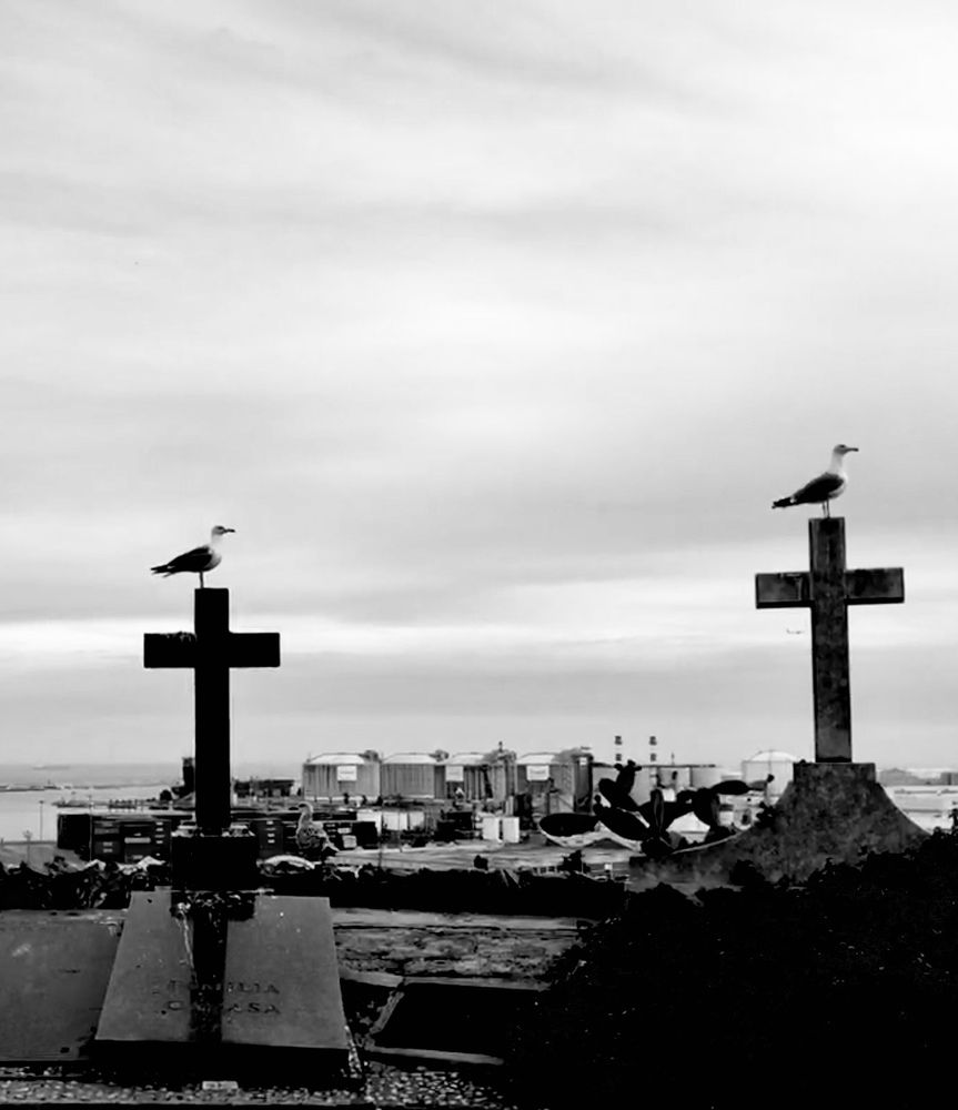 Photograph by Sergiy Khilko