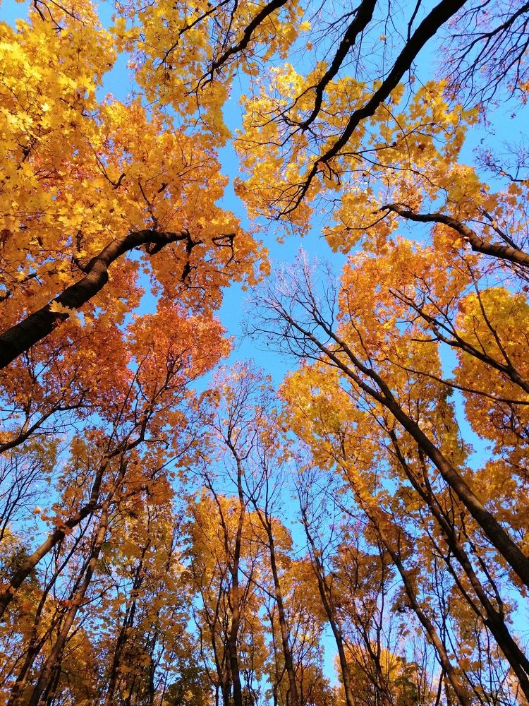 Photograph by Марцева Татьяна