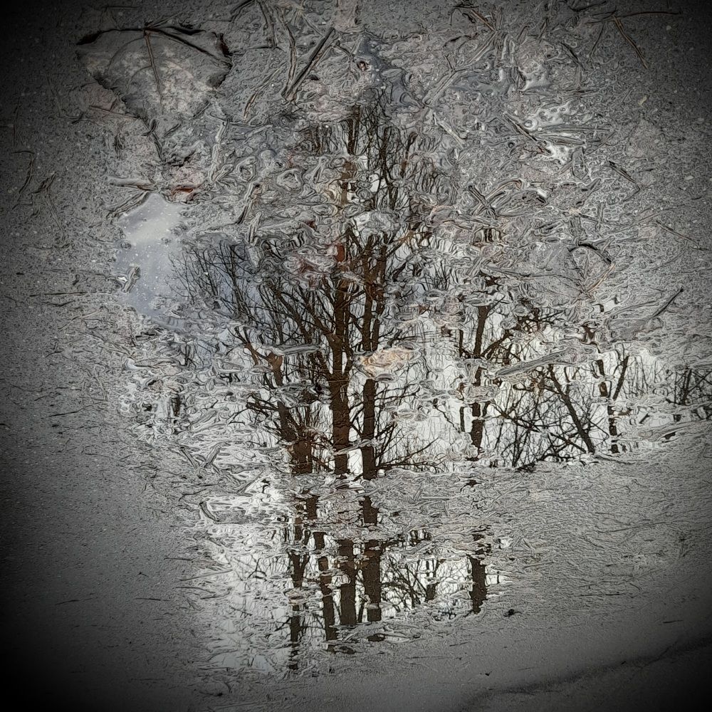 Photograph by Валентина