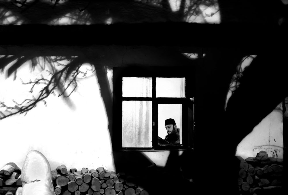 Reading the Heart of a Tree