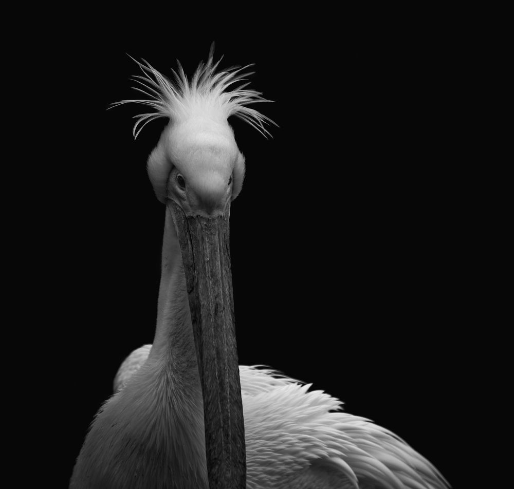 Photograph by Vjacheslav Simanovich