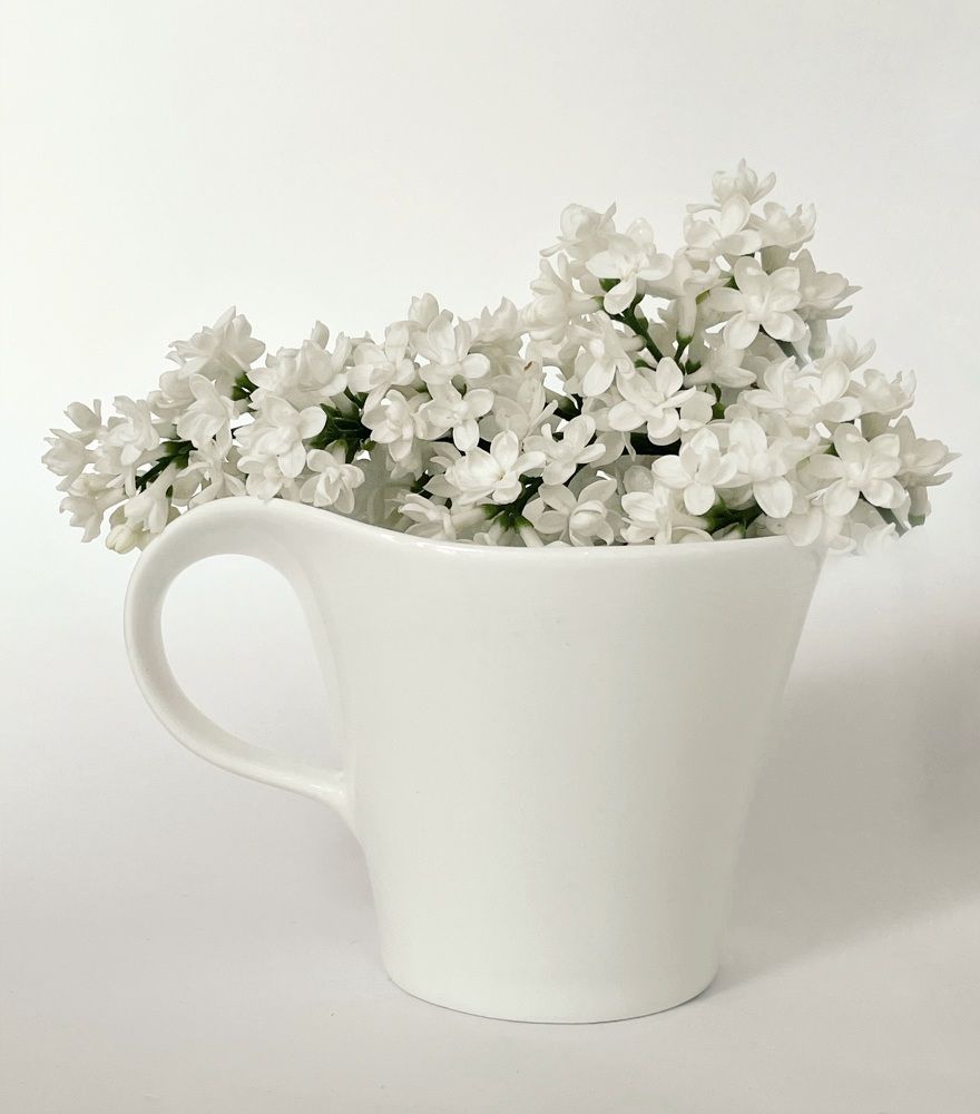 Photograph by Юлия Казакова