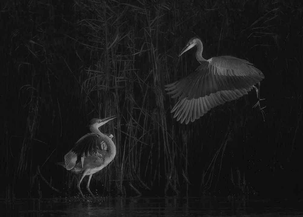 Photograph by Vjacheslav Simanovich