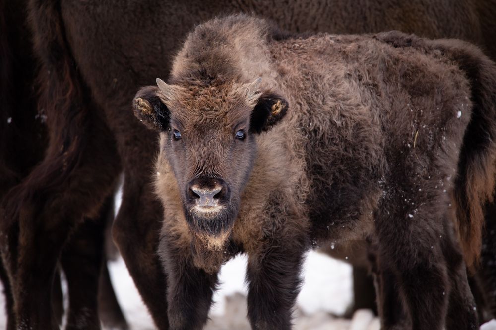 Photograph by Evgeny S