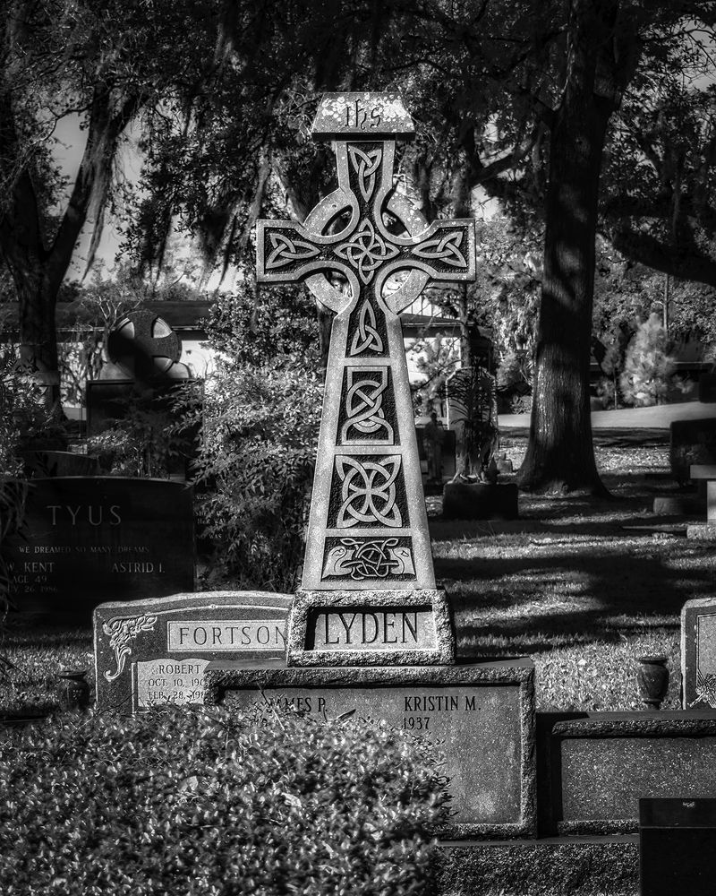 Фотография автора Raymond Asiala