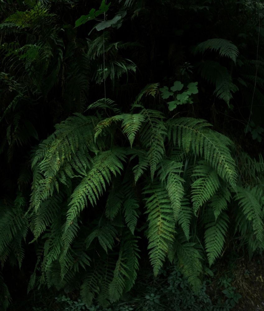 Photograph by MARRANO DOMENICO